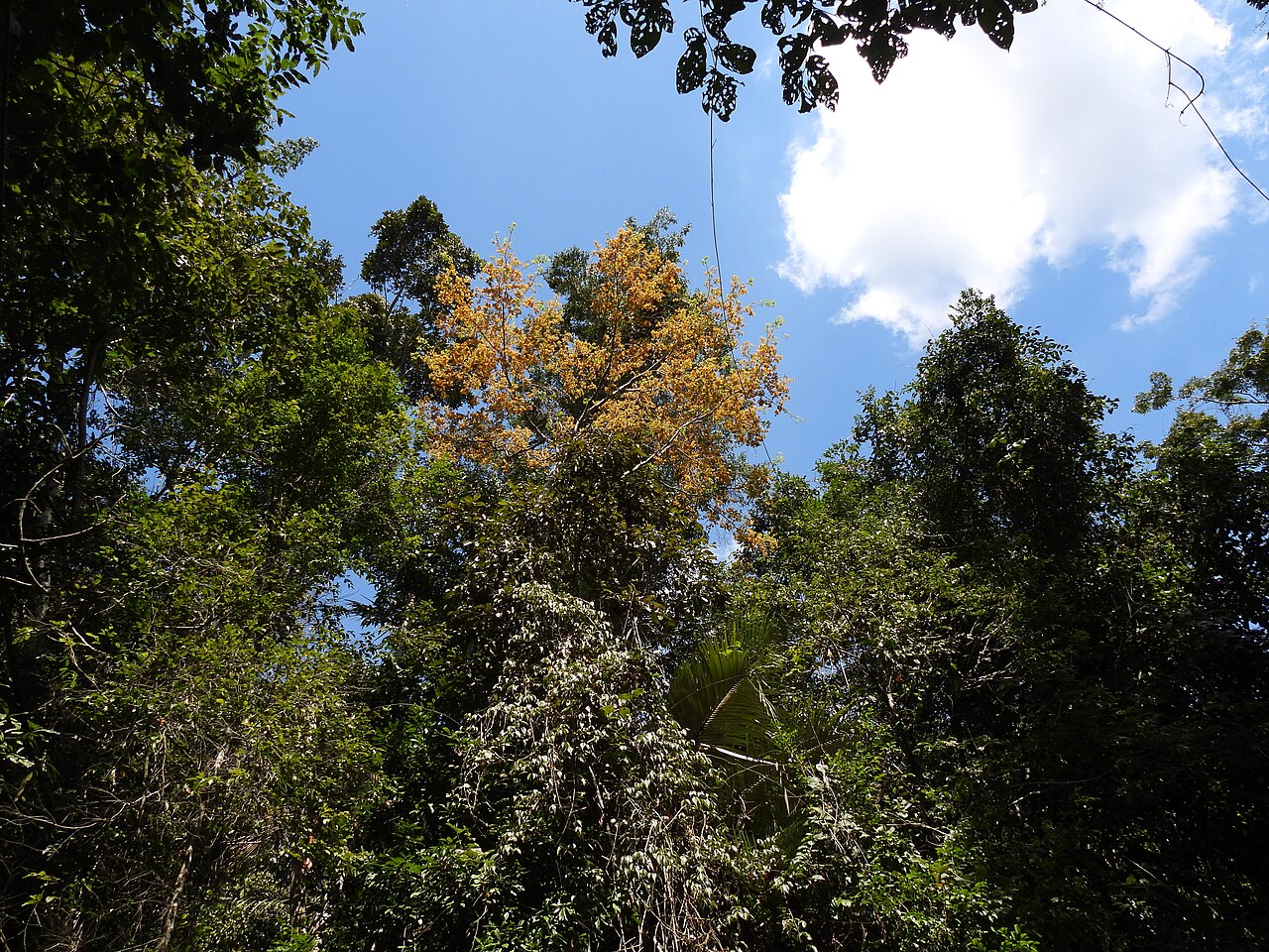 Course Image  Biologia/Geologia